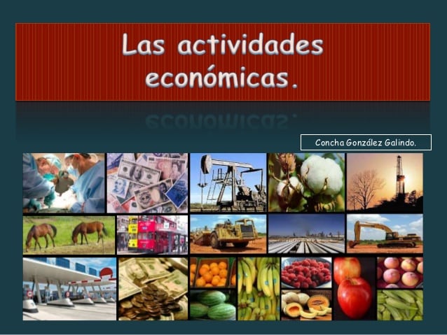 Resultado de imagen de actividades economicas